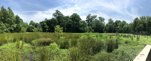 Oxbow Meadows Environmental Learning Center Logo