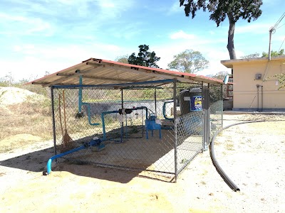Photos of Farm - Faculty of Agriculture