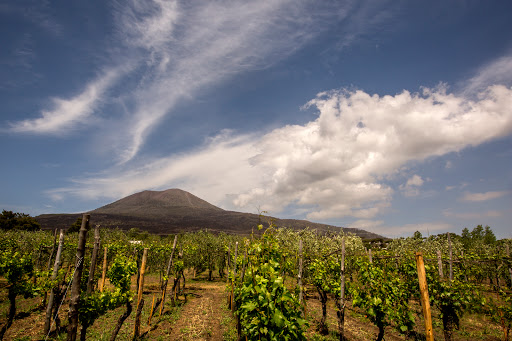 Cantina Del Vesuvio Winery Russo Family since 1930 - Thumbnail