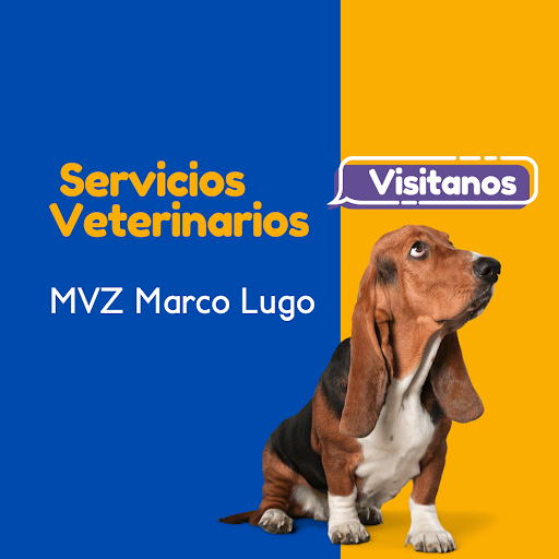 Servicios Ganaderos de Magdalena