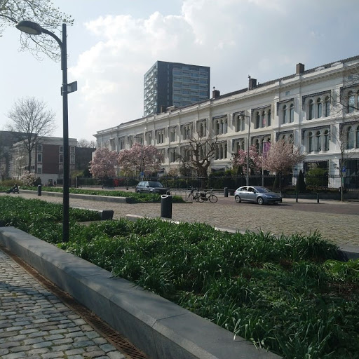 IMAP Netherlands Gallery - Netherlands