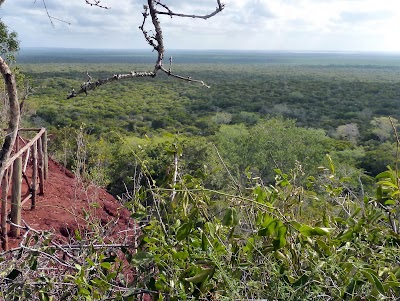 Photos of Arabuko Sokoke Forest