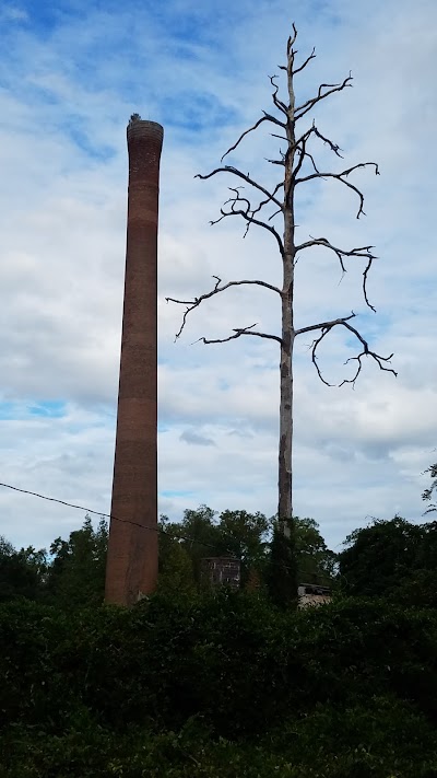 The Old Mill Tower. In The Field On Smythe St.