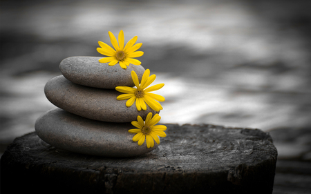 Listening Hands Massage, LLC