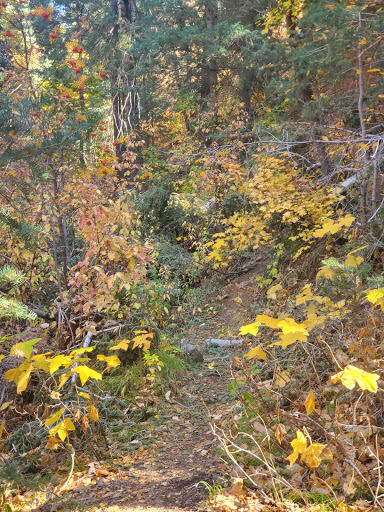 Centerville Canyon Trail Waterfalls - Thumbnail