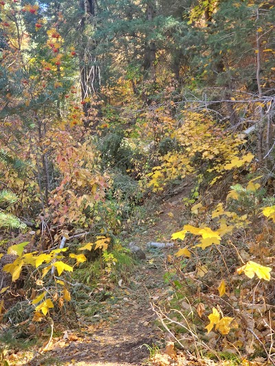 Centerville Canyon Trail Waterfalls