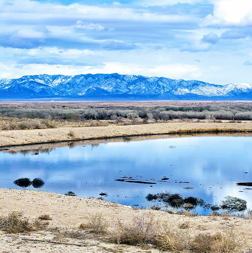 Bosque Dairy Gallery - United States