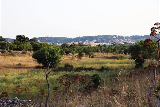 Torrente Badessa