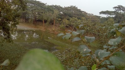 Photos of JANATA ROAD JAME MOSQUE