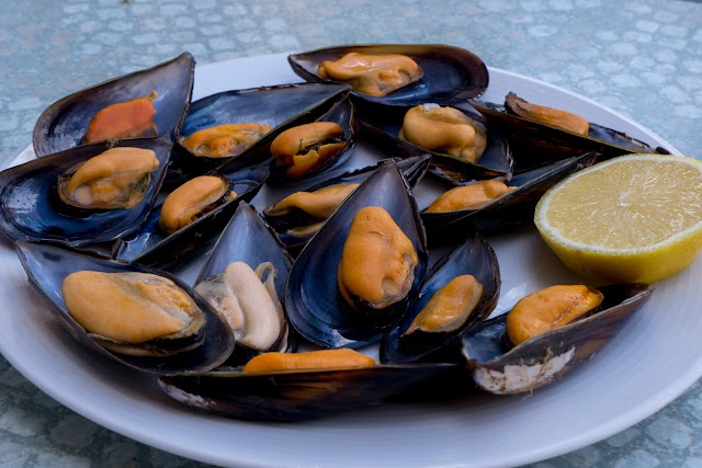 La taberna de torrelodones