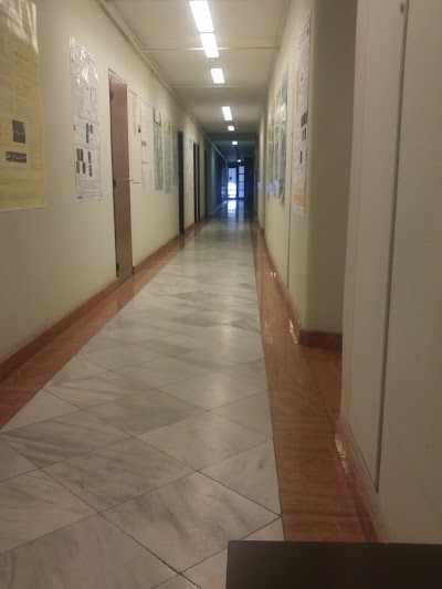university