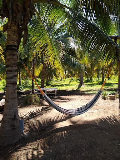 Rest. PALMARES - Thumbnail