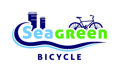 Seagreen Bicycle