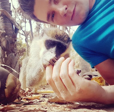 Photos of Monkey Park