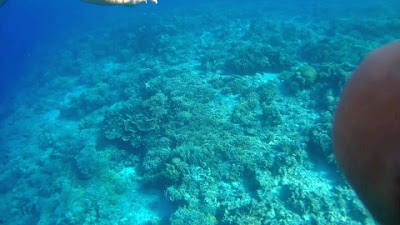 Photos of Tanta Moon Siladen Villas Resort