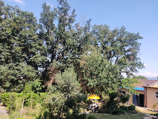 Piè le Querce - Visual