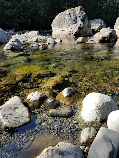 Bench Overlook - Visual