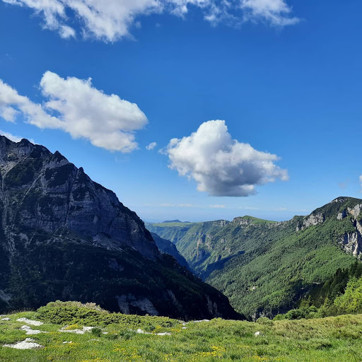 Foresta di Giazza Gallery - Italy