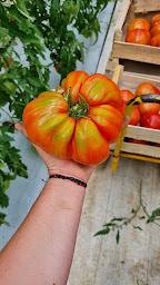 Photo n°9 de LA HALTE MARCHE au Domaine Chaillou à Gémozac (Primeur)
