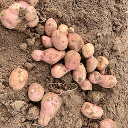 Photo n°8 de La Ferme Épicerie D'Heygère à Wacquemoulin (Ferme bio)