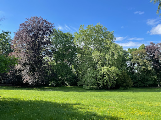 Fanny-Leicht-Park