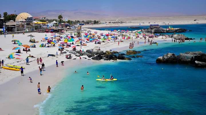 Hotel Costa Fósil by null