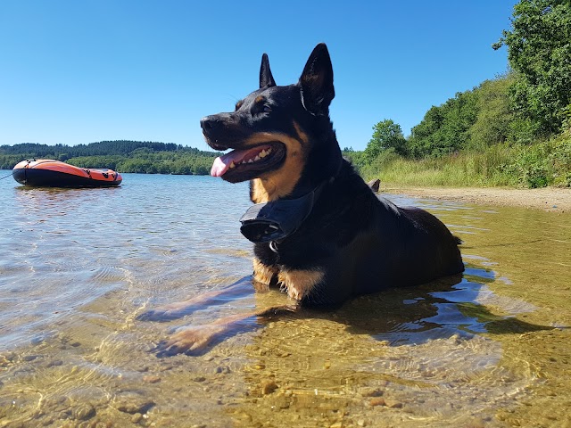 Lac de Saint-Pardoux