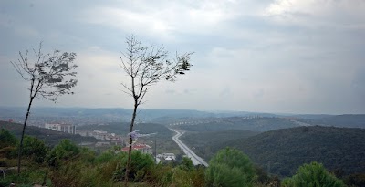 Photos of Dr. Vasıf Top&ccedil;u Science High School