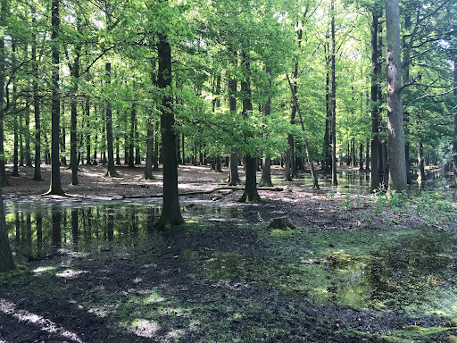 Wildpark Burg Dinklage