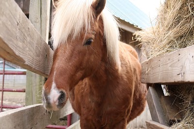 Farmland Animal Park