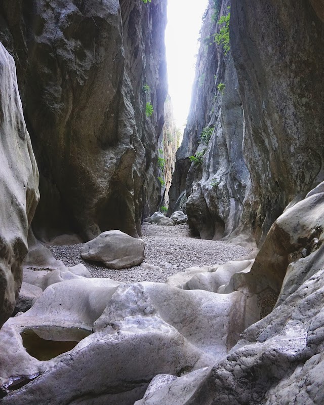 Torrent de Pareis