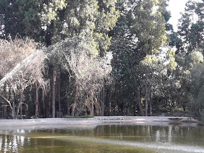 Photos of La Bi&oacute;sfera