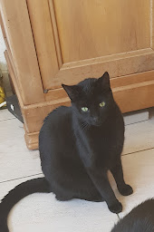 Photo n°2 de Association RESPECTONS à Saint-Léger-Vauban (Association ou organisation)