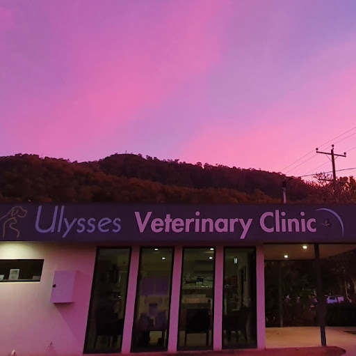 Ulysses Veterinary Clinic Cairns - Australia