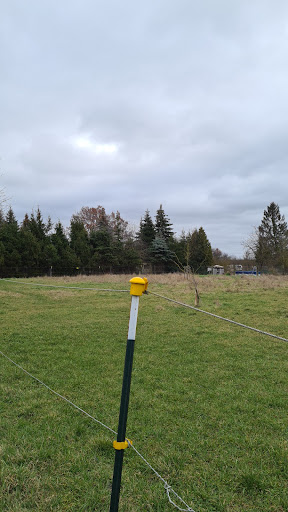Lutersgarten - Thumbnail
