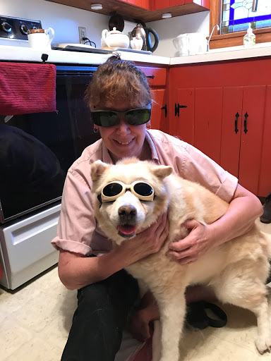 Companion Animal Veterinary Services, Inc. - Thumbnail