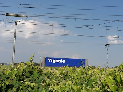 Vignale