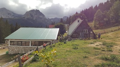 Photos of AutoCamp Mlinski Potok