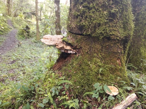 Quebrada de San Lorenzo, Author: Gonzalo Rivero