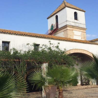 Photos of Hacienda Los Jinetes
