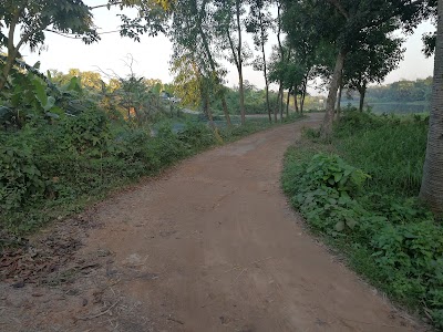 Photos of সুরপুর দখিন পারা জামে মাসজিদ