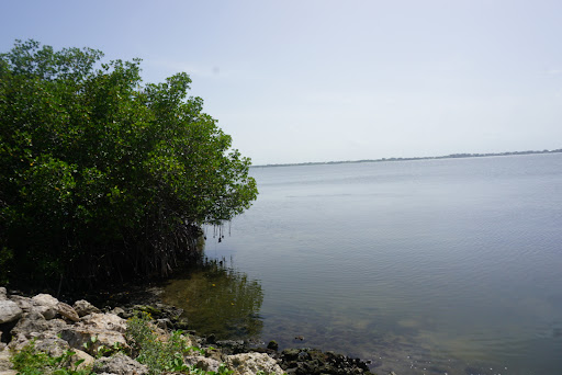 Bear Point Sanctuary - Visual