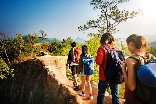 Educational Tour Operators in Bangalore Supporting Experiential Learning