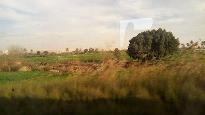 Photos of Bani Sweif