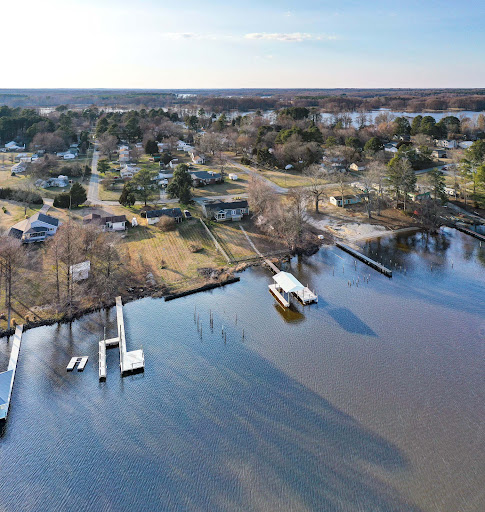 Carol Wills, REALTOR eXp Realty - Thumbnail