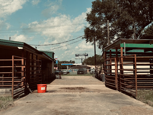 Jackson Packing Co. - Visual