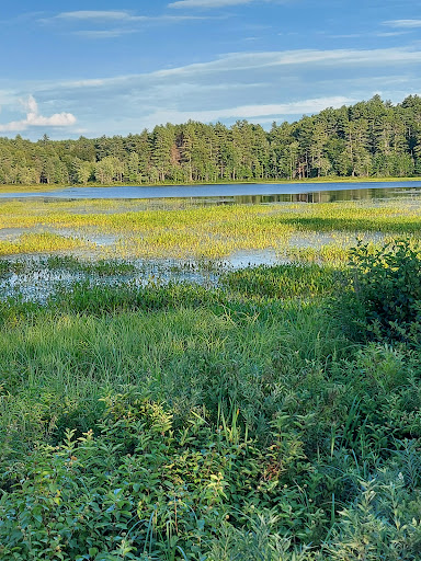 Elm Brook Park - Thumbnail
