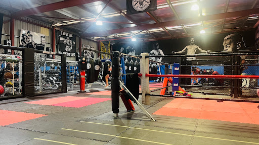 Cardioflex MMA Gym