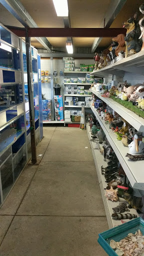 Bird and Fish Place - Thumbnail