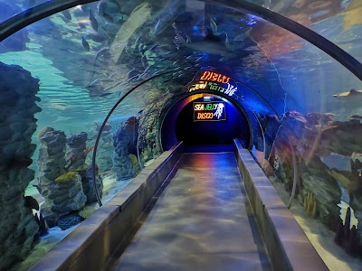 Emaar Square Aquarium World - Akvaryum